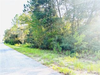 TBD SW Pineapple Hill Drive, Dunnellon, FL 34431
