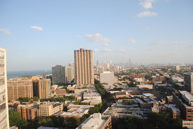 3930 N Pine Grove Avenue 2902, Chicago, IL 60613