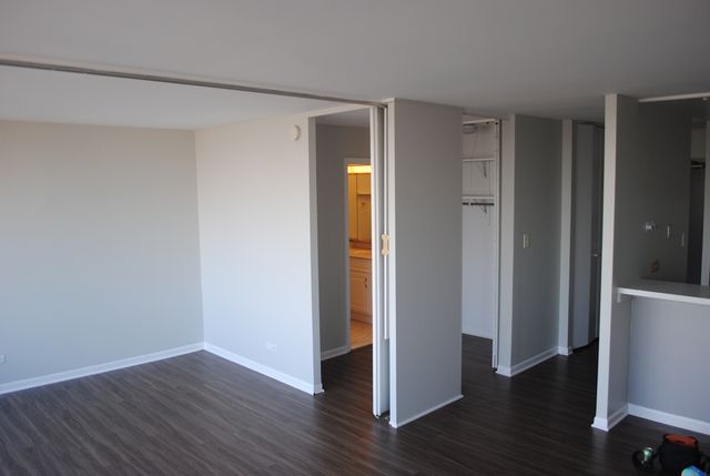 3930 N Pine Grove Avenue 2902, Chicago, IL 60613