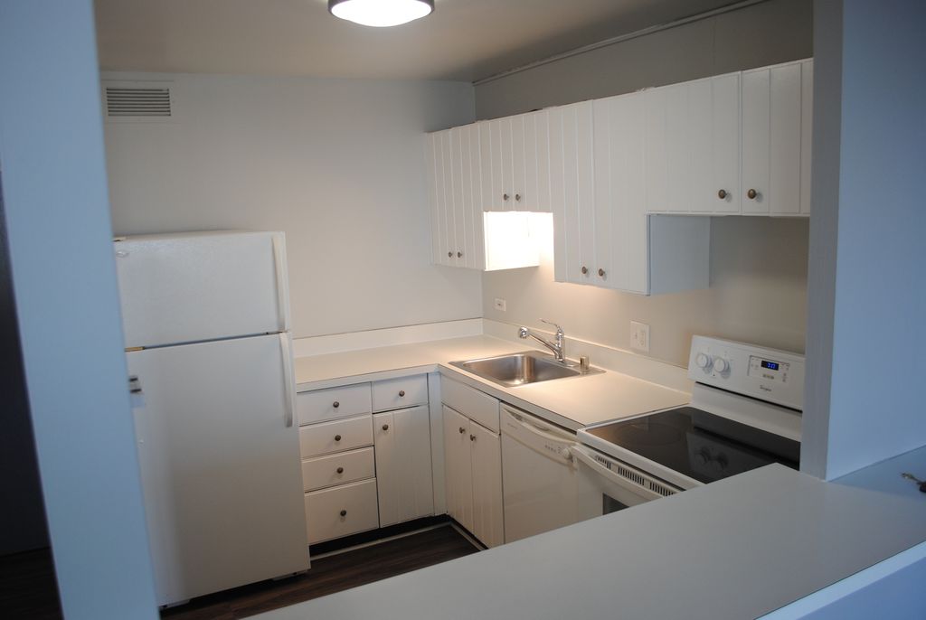 3930 N Pine Grove Avenue 2902, Chicago, IL 60613 — photo 5