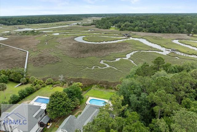 154 Sayle Lane, Richmond Hill, GA 31324