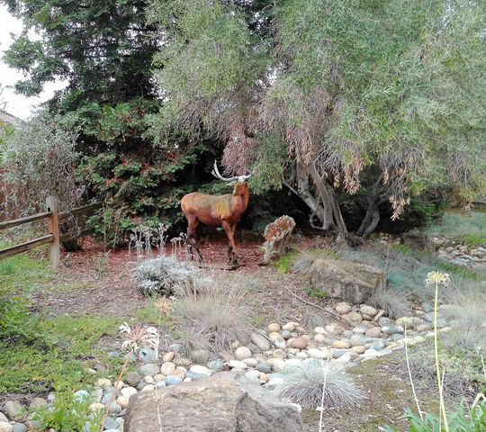 1388 Sonnys Way, Hollister, CA 95023