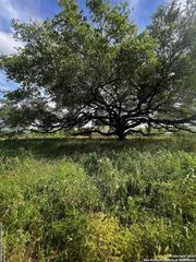 521 County Road 7713 #2, Devine, TX 78016