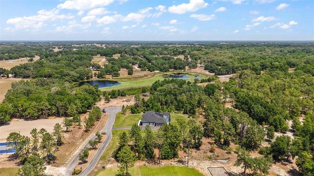 40050 DARLINGTON AVENUE, Lady Lake, FL 32159