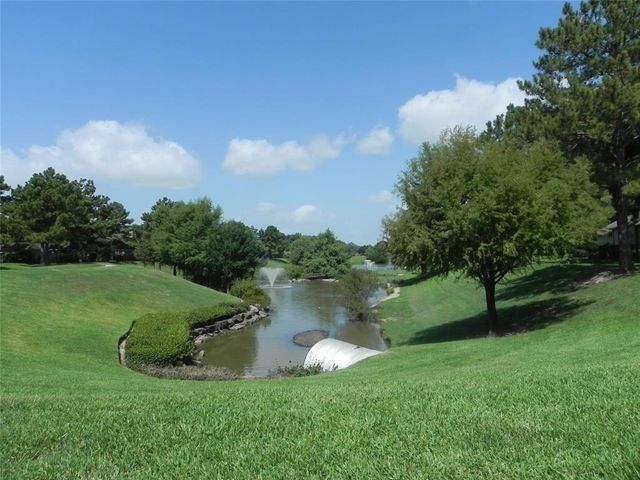 15242 Shapiro Springs Lane, Houston, TX 77095