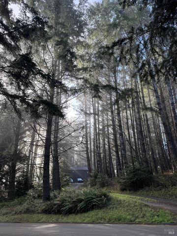 880 River Beach Rd, The Sea Ranch, CA 95497