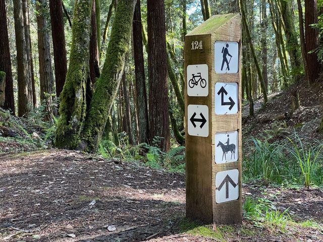 880 River Beach Rd, The Sea Ranch, CA 95497