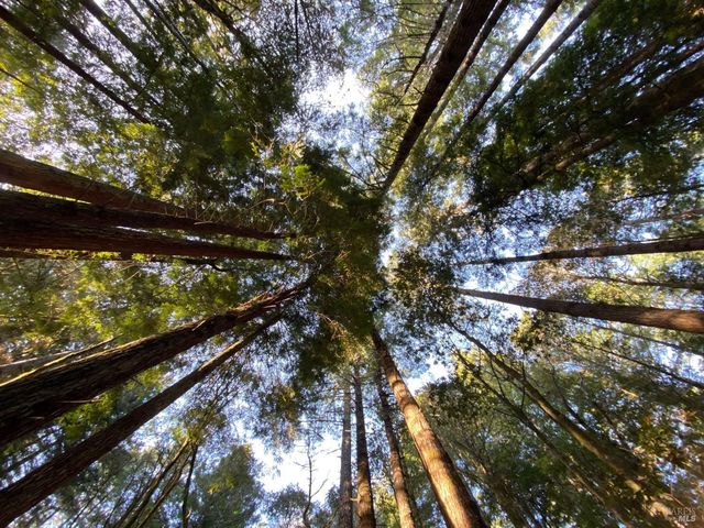 880 River Beach Rd, The Sea Ranch, CA 95497