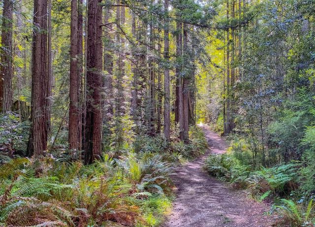 880 River Beach Rd, The Sea Ranch, CA 95497