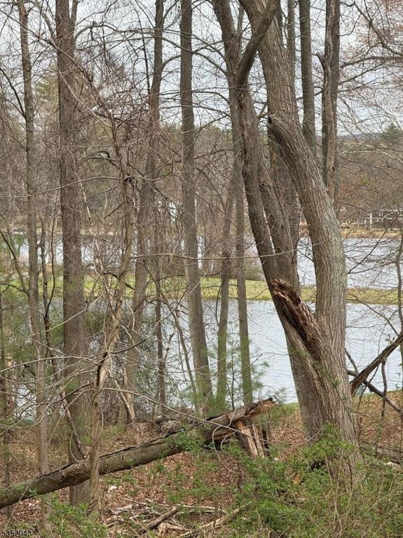 232 Lake Shore, Montague Twp., NJ 07827 — photo 2