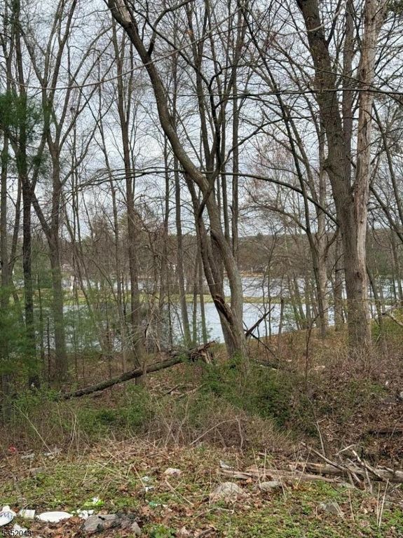 232 Lake Shore, Montague Twp., NJ 07827 — photo 3