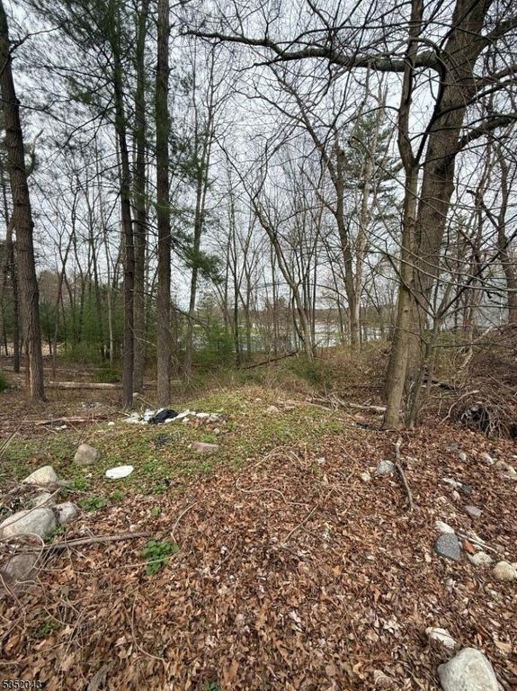 232 Lake Shore, Montague Twp., NJ 07827 — photo 4