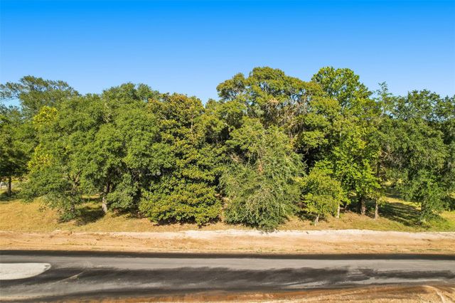 18404 Woodstream Crossing Road, Montgomery, TX 77316