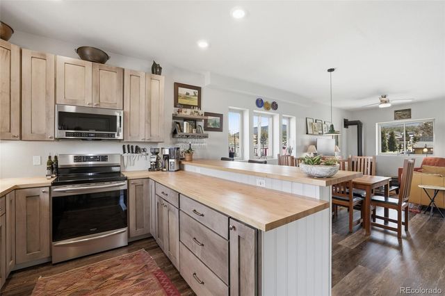 507 Alder Street, Leadville, CO 80461