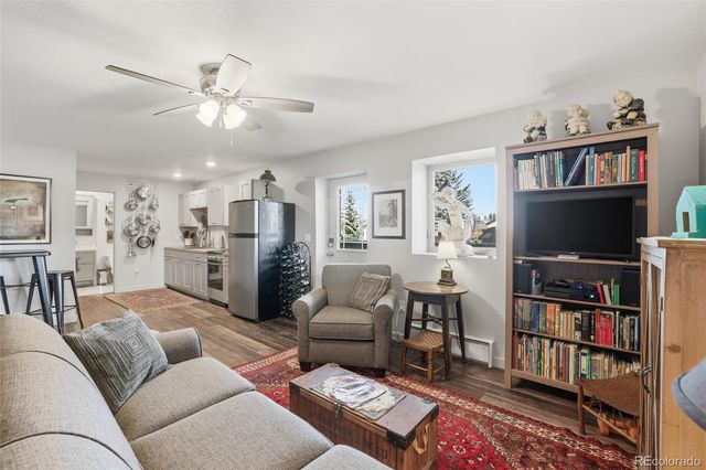 507 Alder Street, Leadville, CO 80461