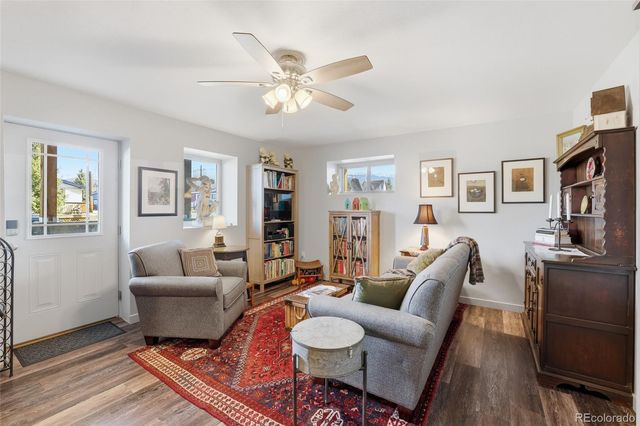 507 Alder Street, Leadville, CO 80461
