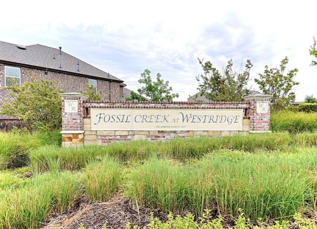 9828 Prairie Dog Lane, Mckinney, TX 75071