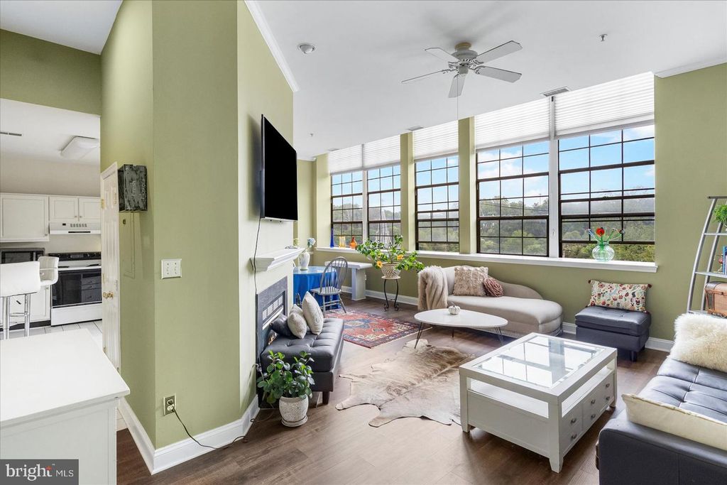 3700 COLLEGE AVE #301, Ellicott City, MD 21043