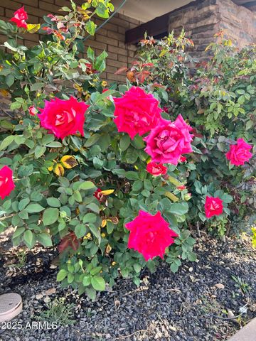 6042 E HALIFAX Street, Mesa, AZ 85205