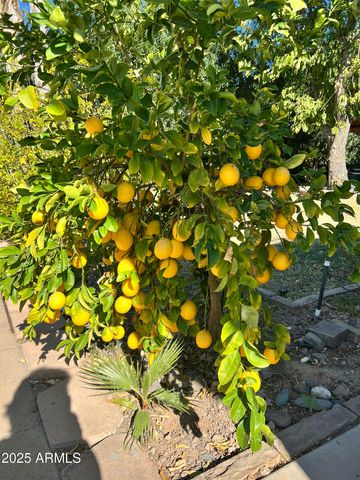 6042 E HALIFAX Street, Mesa, AZ 85205