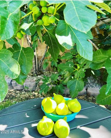 6042 E HALIFAX Street, Mesa, AZ 85205