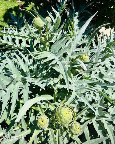 6042 E HALIFAX Street, Mesa, AZ 85205