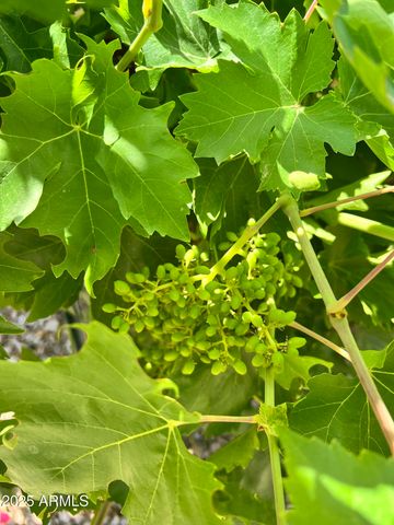 6042 E HALIFAX Street, Mesa, AZ 85205