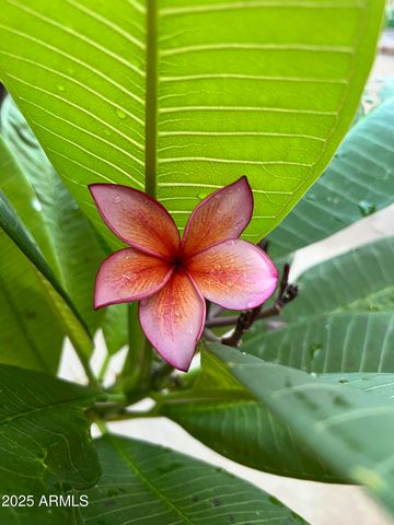 6042 E HALIFAX Street, Mesa, AZ 85205