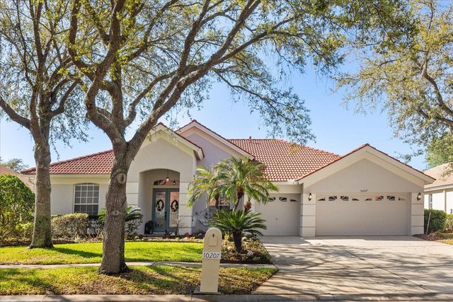10207 ARBOR SIDE DRIVE, Tampa, FL 33647