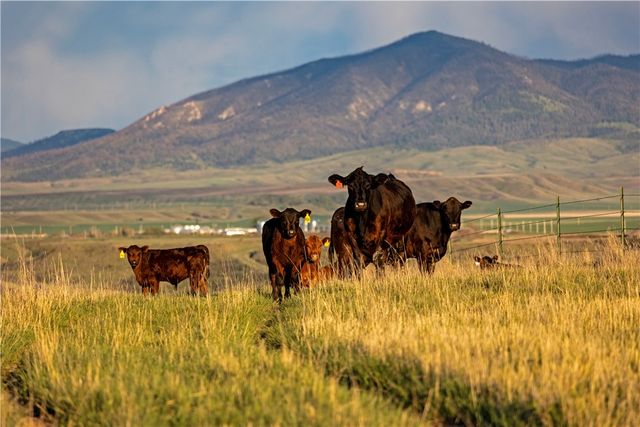 204 Husted Road, Lewistown, MT 59457