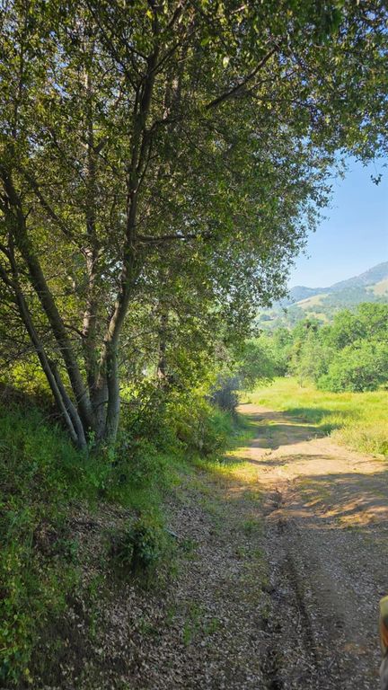 Image 43 of property listing at 1248 Crane Lane, Yokuts Valley, CA 93675