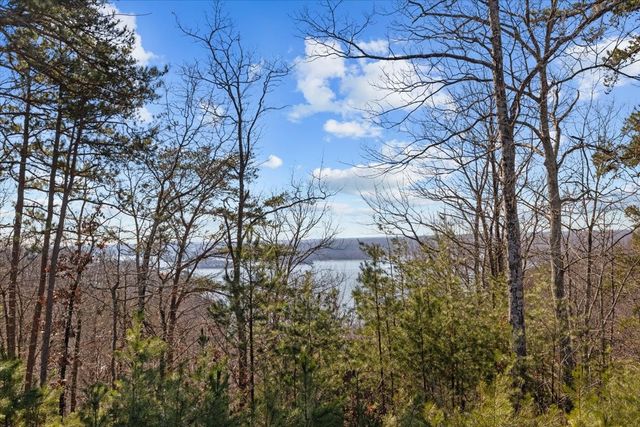0 Crest Ct, Waverly, TN 37185