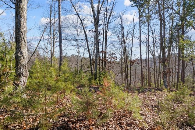 0 Crest Ct, Waverly, TN 37185
