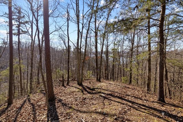 0 Crest Ct, Waverly, TN 37185
