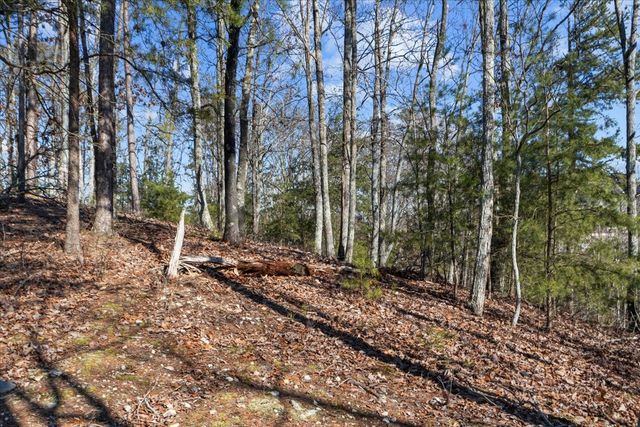 0 Crest Ct, Waverly, TN 37185