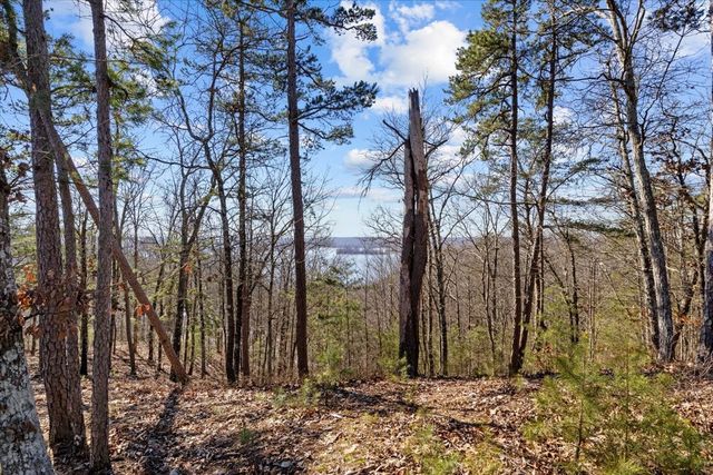 0 Crest Ct, Waverly, TN 37185