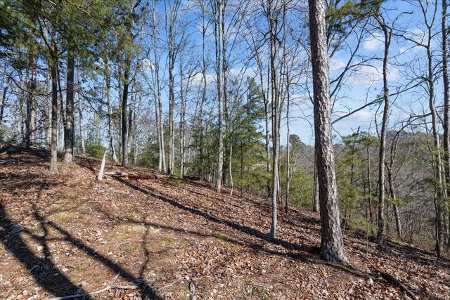 0 Crest Ct, Waverly, TN 37185