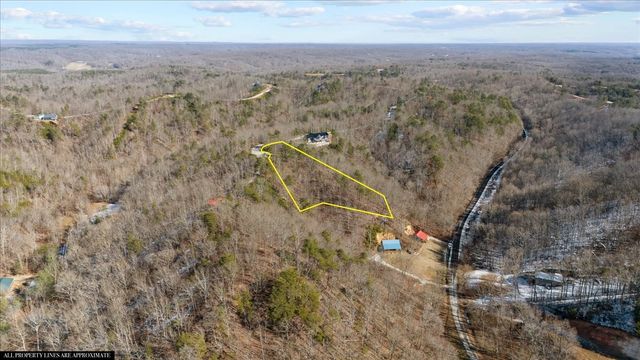 0 Crest Ct, Waverly, TN 37185