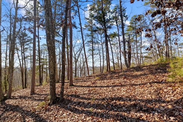 0 Crest Ct, Waverly, TN 37185