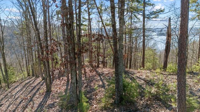 0 Crest Ct, Waverly, TN 37185