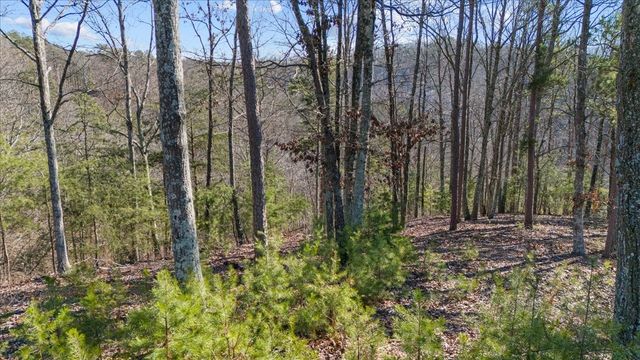 0 Crest Ct, Waverly, TN 37185