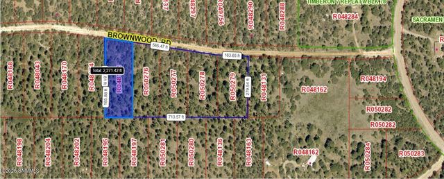 60 Brownwood Road, Timberon, NM 88350