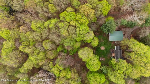 4410 Harding Avenue, Holt, MI 48842