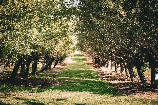 3321 N Old Us Highway 421, Greensburg, IN 47240