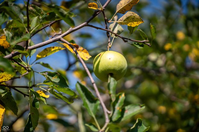 3321 N Old Us Highway 421, Greensburg, IN 47240