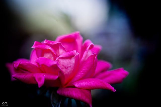 3321 N Old Us Highway 421, Greensburg, IN 47240