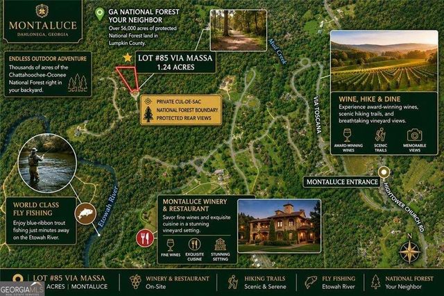 85 VIA MASSA, Dahlonega, GA 30533