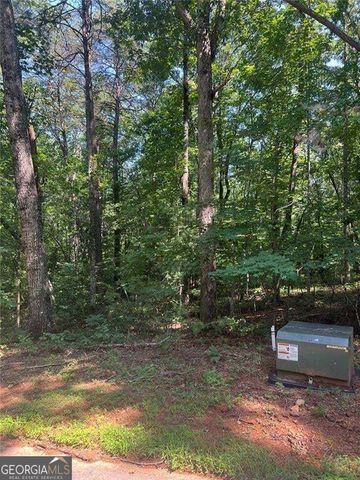 85 VIA MASSA, Dahlonega, GA 30533