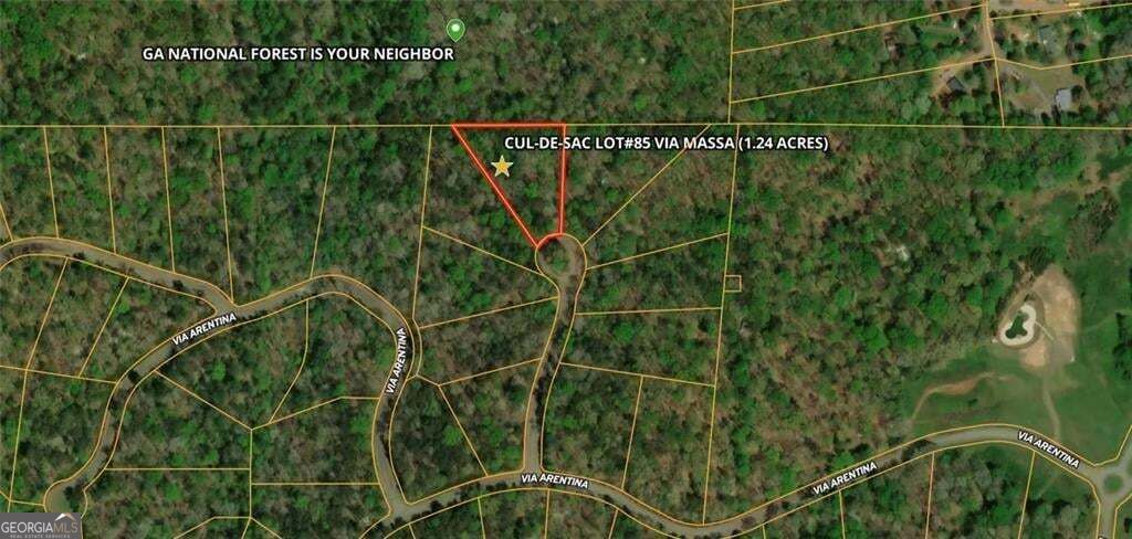 85 VIA MASSA, Dahlonega, GA 30533
