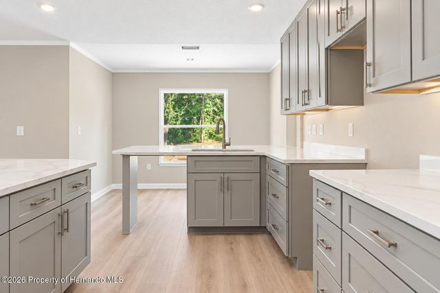 13304 Canada Goose Road, Weeki Wachee, FL 34614